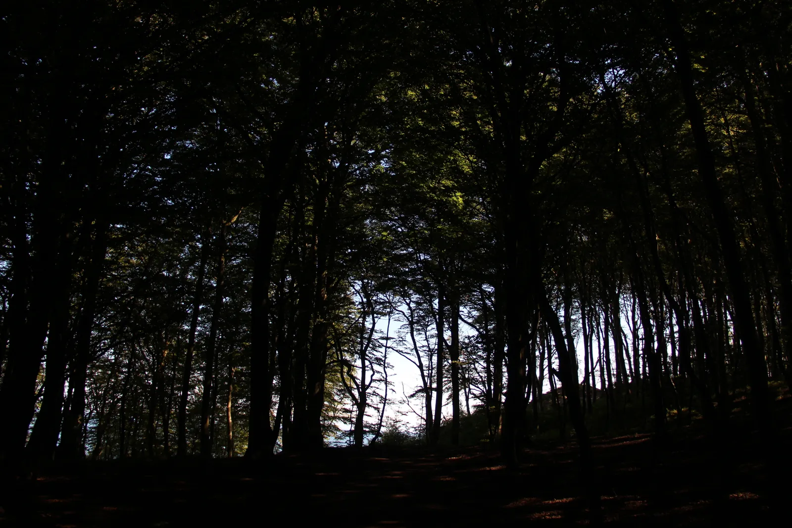 From Another World - Photo 3