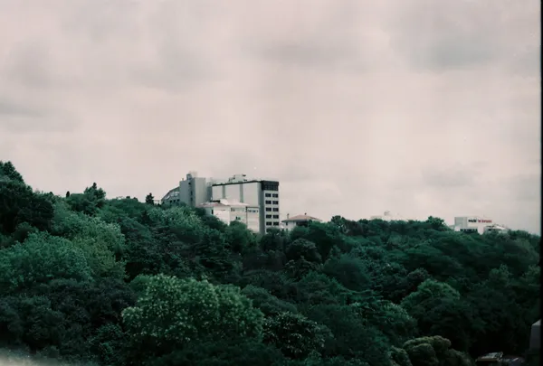 We're vibin' playlist cover